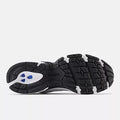 530 - Raincloud MR530CK