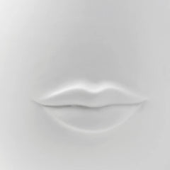 Mr. And Mrs. Muse Large Vase - White