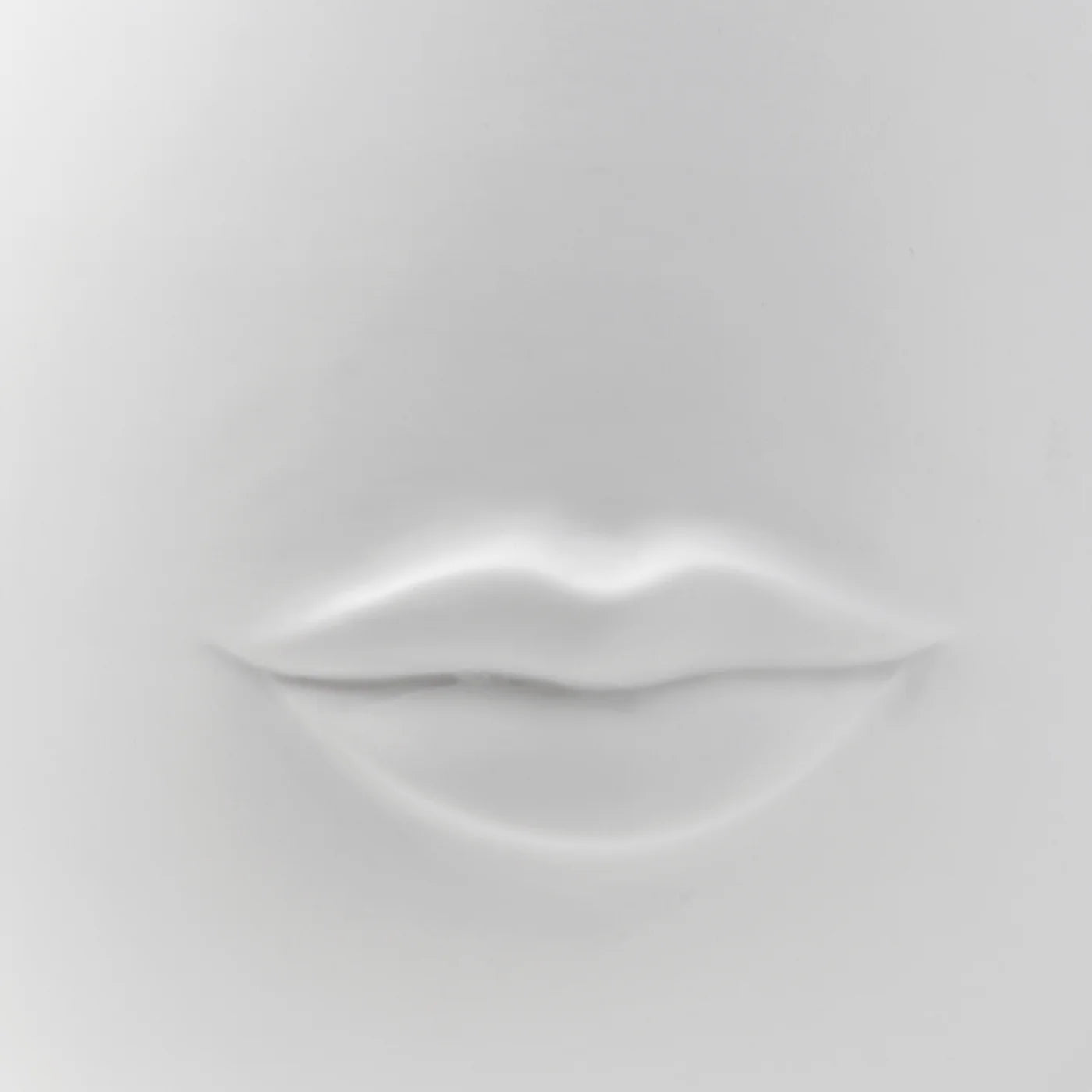 Mr. And Mrs. Muse Large Vase - Vit