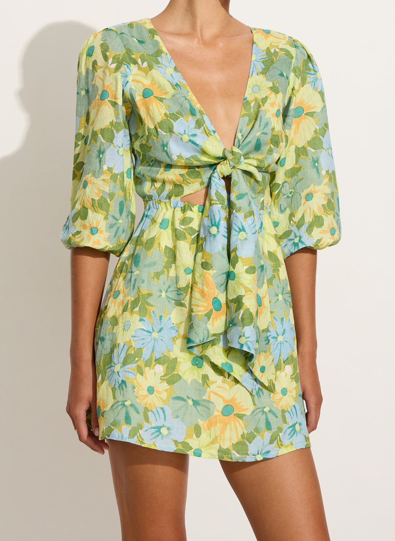 Cintare Mini Dress - Francis Floral