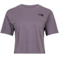W Cropped Simple Dome Tee - Lunar Slate