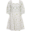 Michelle Dress - Mint Rose Print