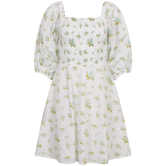Michelle Dress - Mint Rose Print