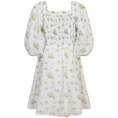 Michelle Dress - Mint Rose Print