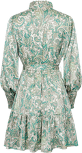 Saga Wide Small Paisley Klänning - Grönt Paisleymönster