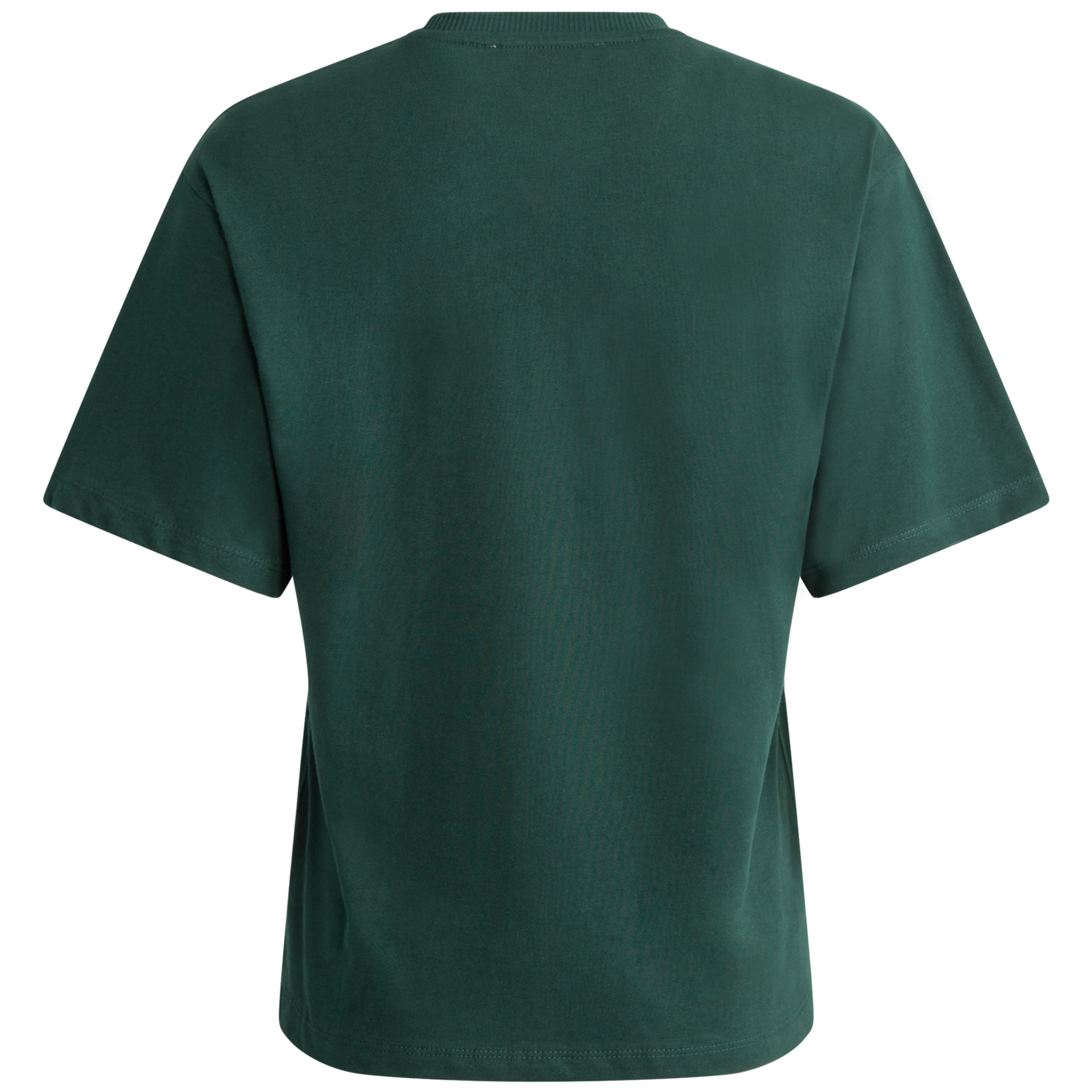 Lisa Hankie SS O-Neck Tee - Scarab