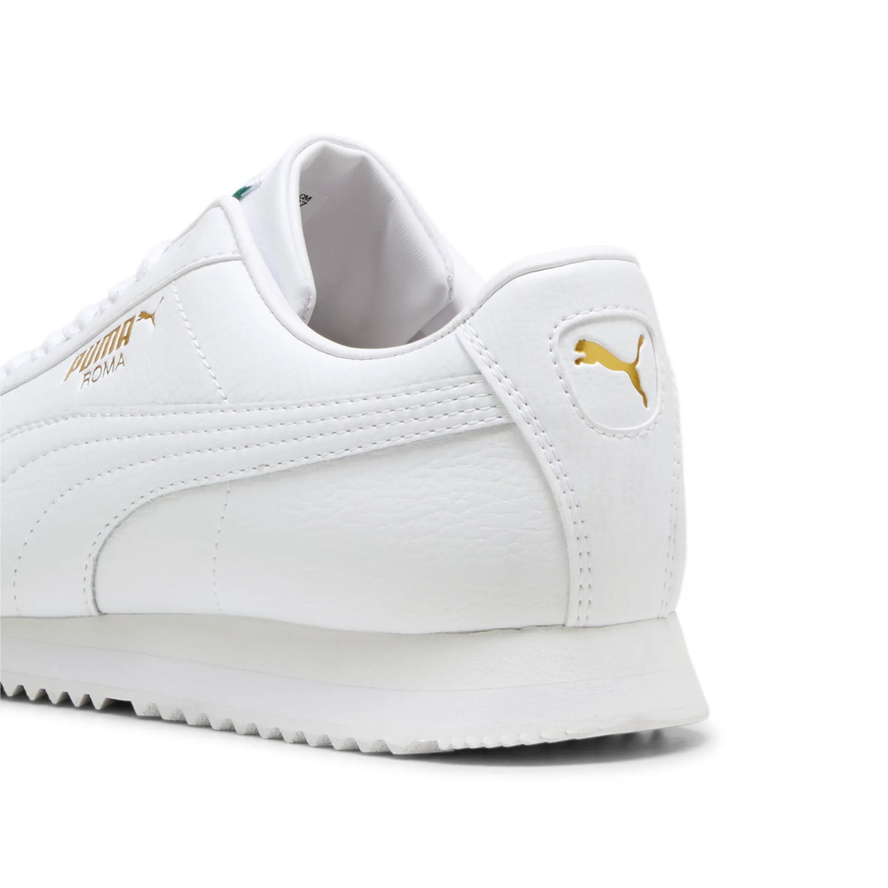 Roma 24 Standard - White-Archive Green