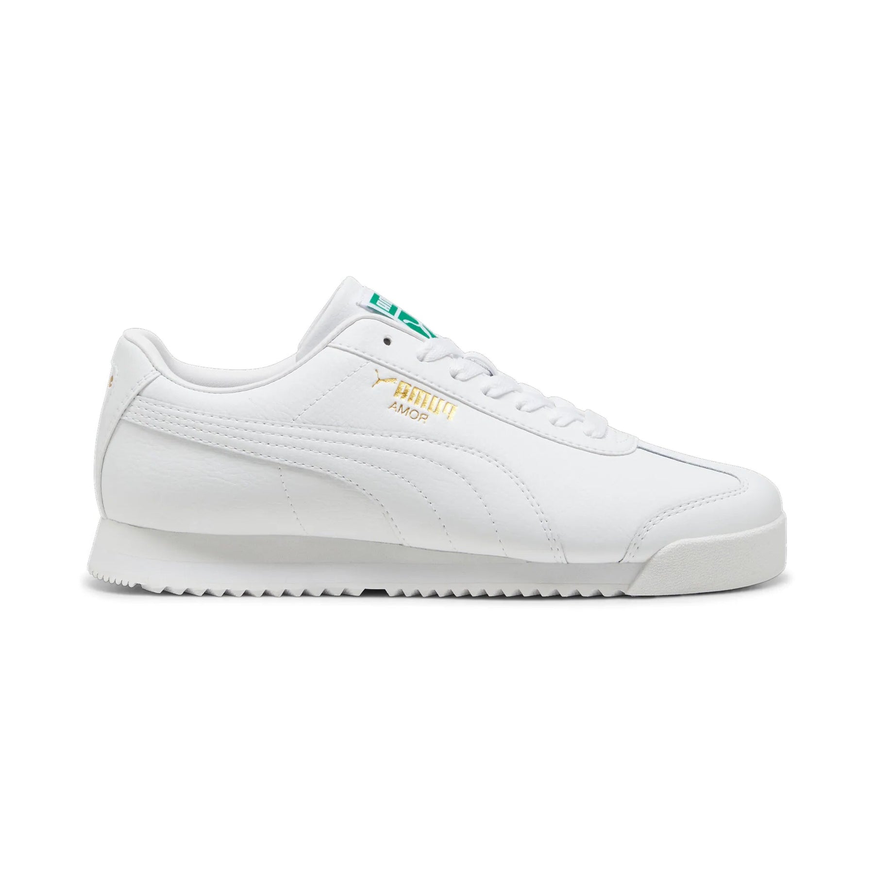Roma 24 Standard - White-Archive Green