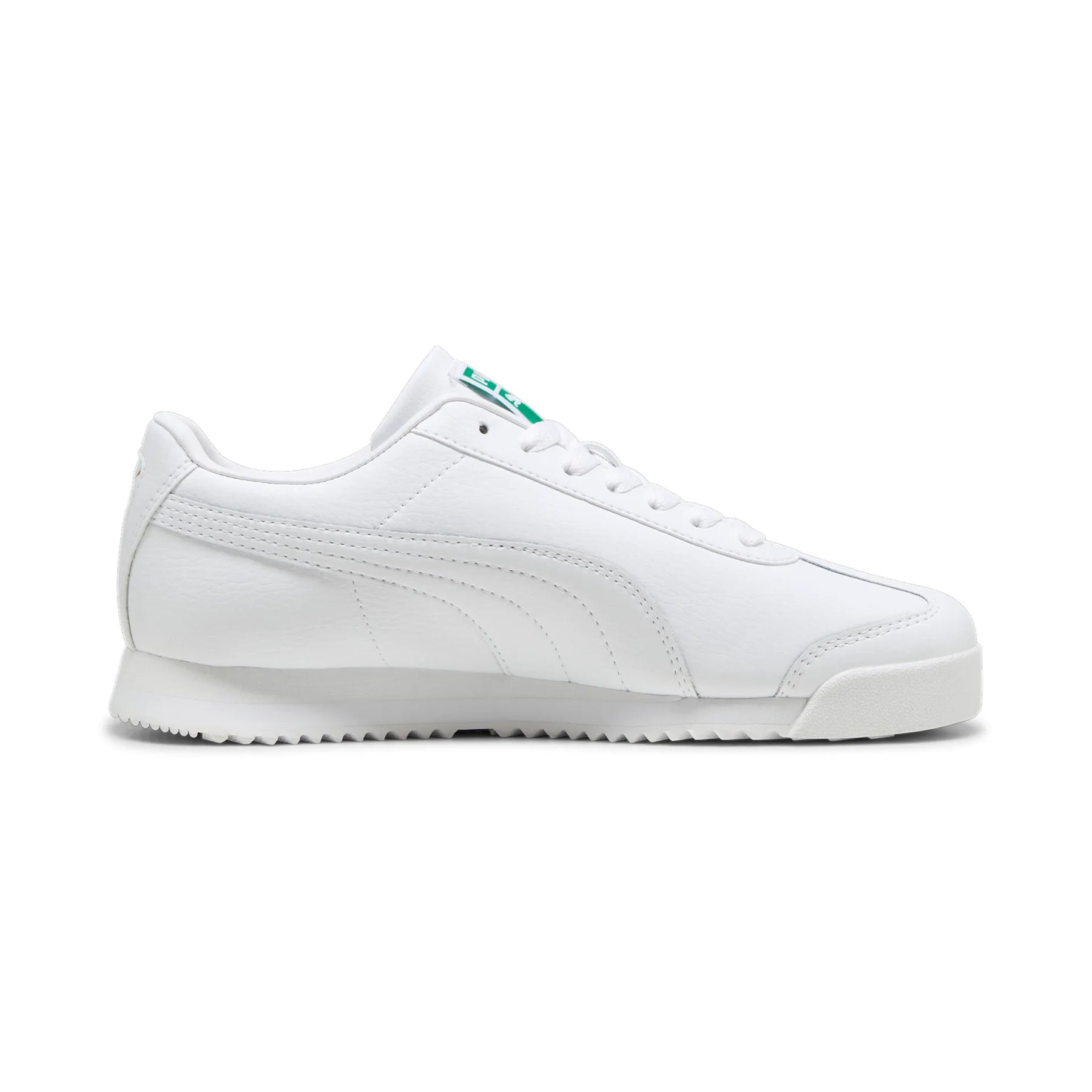 Roma 24 Standard - White-Archive Green