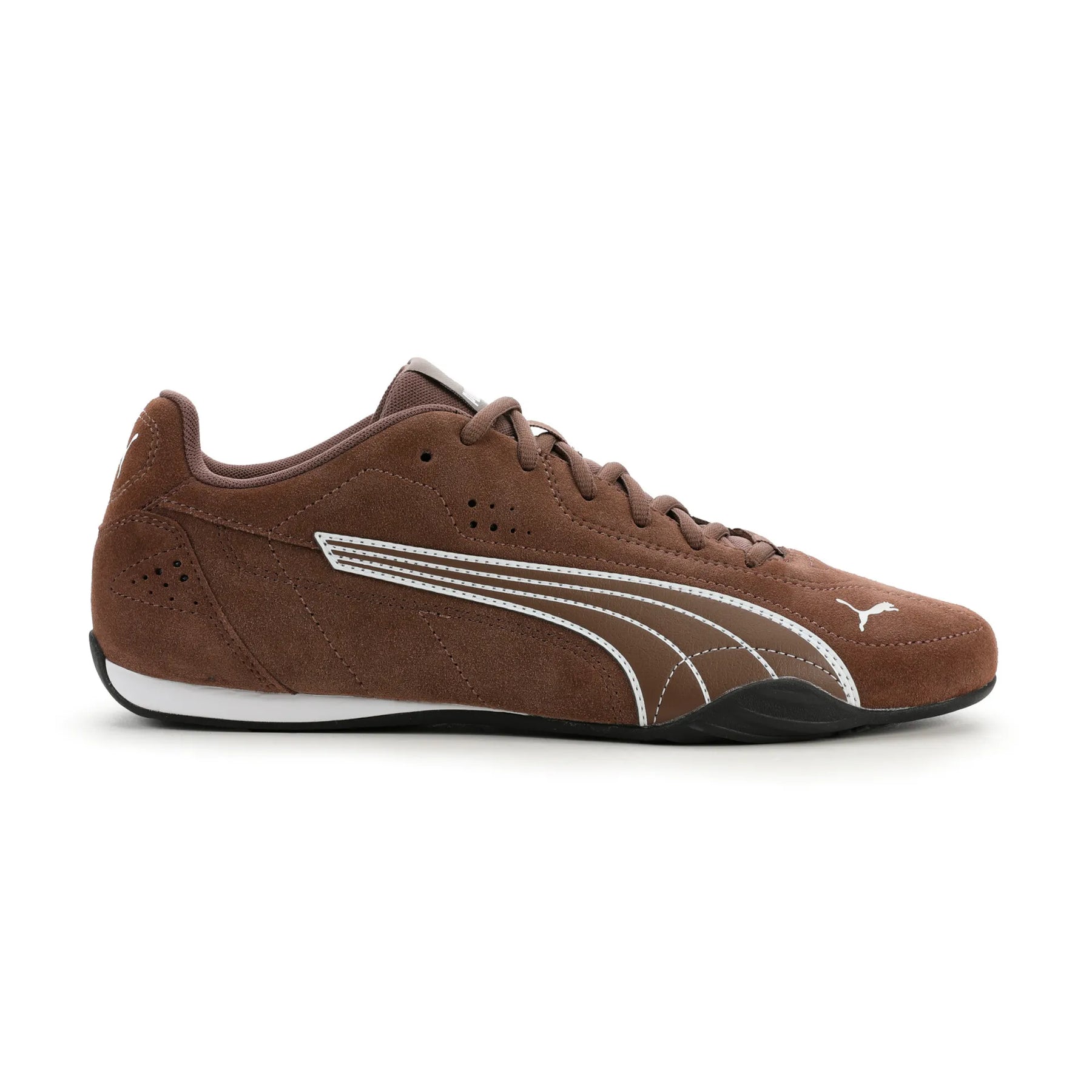 Puma Catch Sd - Brun/Vit