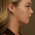 Polished Domed Taper Hoop - Pale Gold