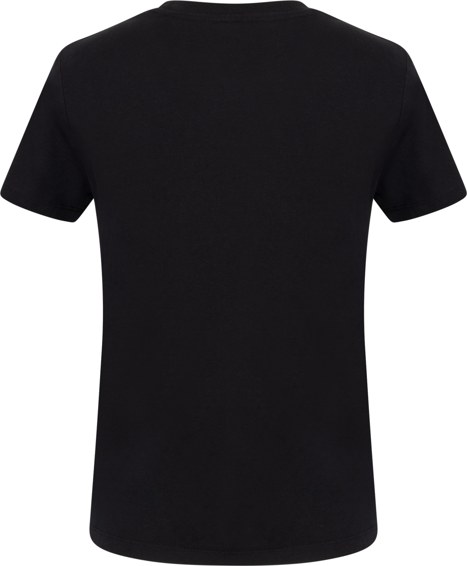Levi's Perfect Tee - Mineral Black