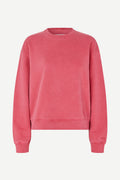 Savan Sweat - Earth Red Pigment