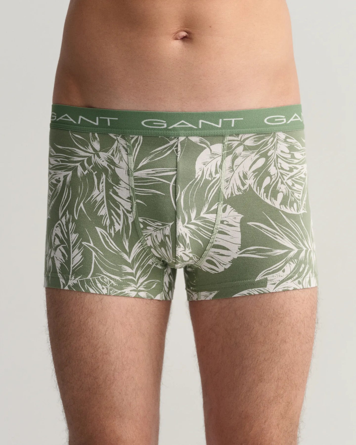 Trunk 3-Pack - Tropical Leaves Print