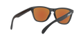 Frogskins - Matte Black - Prizm Violet