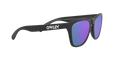 Frogskins - Matte Black - Prizm Violet