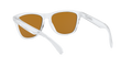 Frogskins - Polished Clear - Prizm Violet