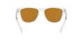 Frogskins - Polished Clear - Prizm Violet