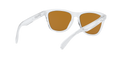 Frogskins - Polished Clear - Prizm Violet