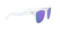 Frogskins - Polished Clear - Prizm Violet