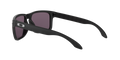 Holbrook - Matte Black - Prizm Grey