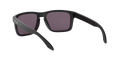Holbrook - Matte Black - Prizm Grey