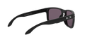 Holbrook - Matte Black - Prizm Grey