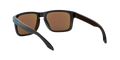 Oakley Holbrook - Polished Black - Prizm Sapphire