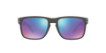 Holbrook - Steel - Prizm Snow Sapphire