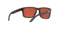 Holbrook - Steel - Prizm Snow Sapphire