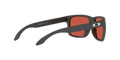 Holbrook - Steel - Prizm Snow Sapphire