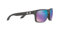 Holbrook - Steel - Prizm Snow Sapphire