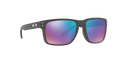 Holbrook - Steel - Prizm Snow Sapphire