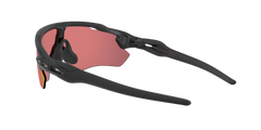 Radar EV Path - Matte Black - Prizm Trail Torch