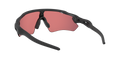 Radar EV Path - Matte Black - Prizm Trail Torch