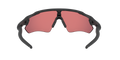 Radar EV Path - Matte Black - Prizm Trail Torch