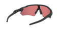 Radar EV Path - Matte Black - Prizm Trail Torch