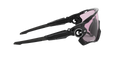 Jawbreaker - Polished Black - Prizm Low Light