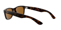 New Wayfarer - Light Havana - B-15 Brown