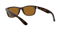 New Wayfarer - Light Havana - B-15 Brown