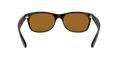 New Wayfarer - Light Havana - B-15 Brown