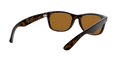 New Wayfarer - Light Havana - B-15 Brown