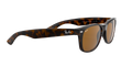New Wayfarer - Light Havana - B-15 Brown