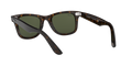 Ray-Ban Wayfarer Solglasögon