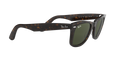 Ray-Ban Wayfarer Solglasögon