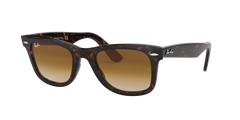Wayfarer - Tortoise - Clear Gradient Brown