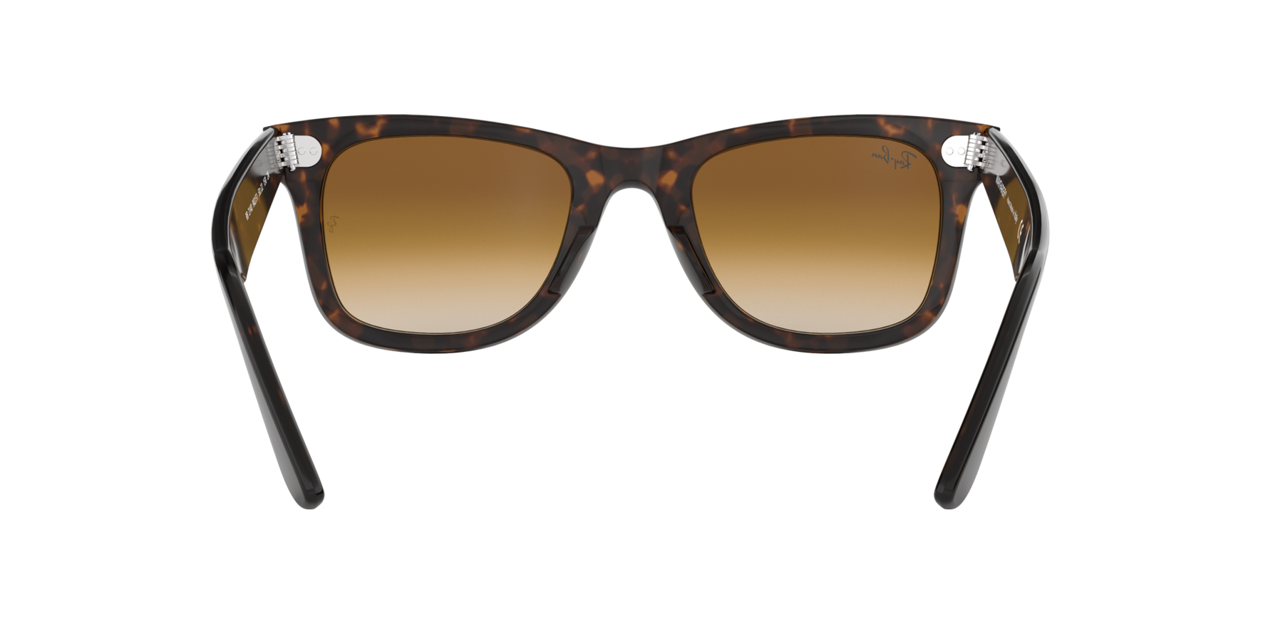 Wayfarer - Tortoise - Clear Gradient Brown