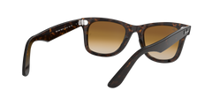 Wayfarer - Tortoise - Clear Gradient Brown