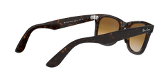 Wayfarer - Tortoise - Clear Gradient Brown