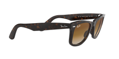 Wayfarer - Tortoise - Clear Gradient Brown